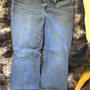 Torrid Women's Straight Leg Blue Jeans